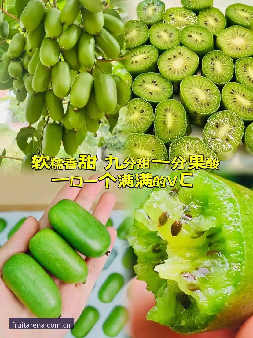 别再翻几十个标签页了，2026奇异果体育平台同类数据站对比的实用筛选逻辑
