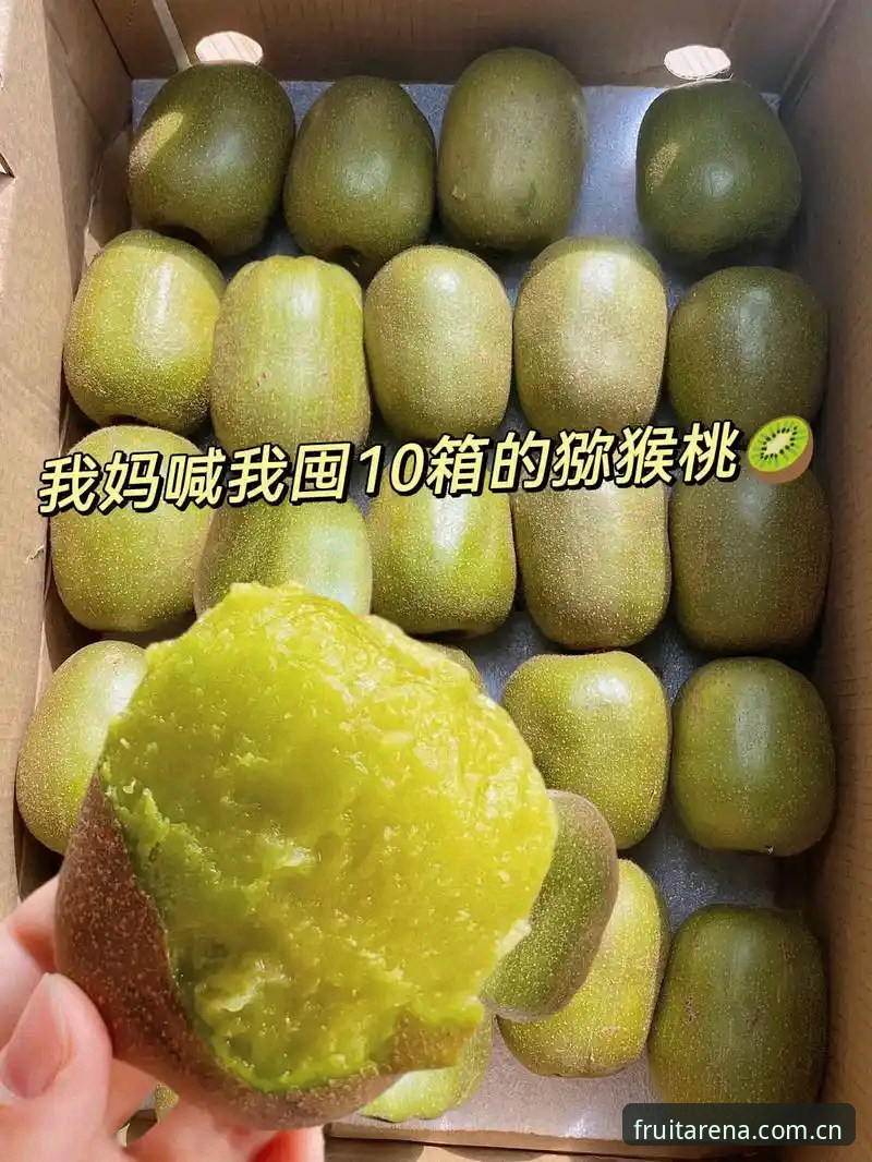 奇异果体育平台同类数据站对比实用说明